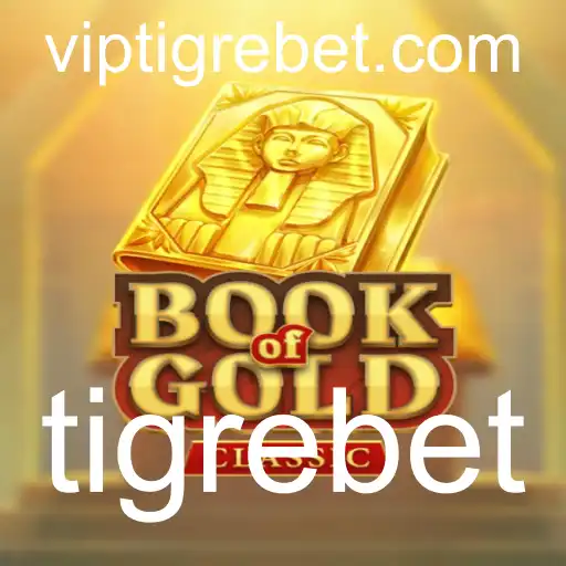 Introdução e Regras do Jogo BookOfGoldClassic no TigreBet